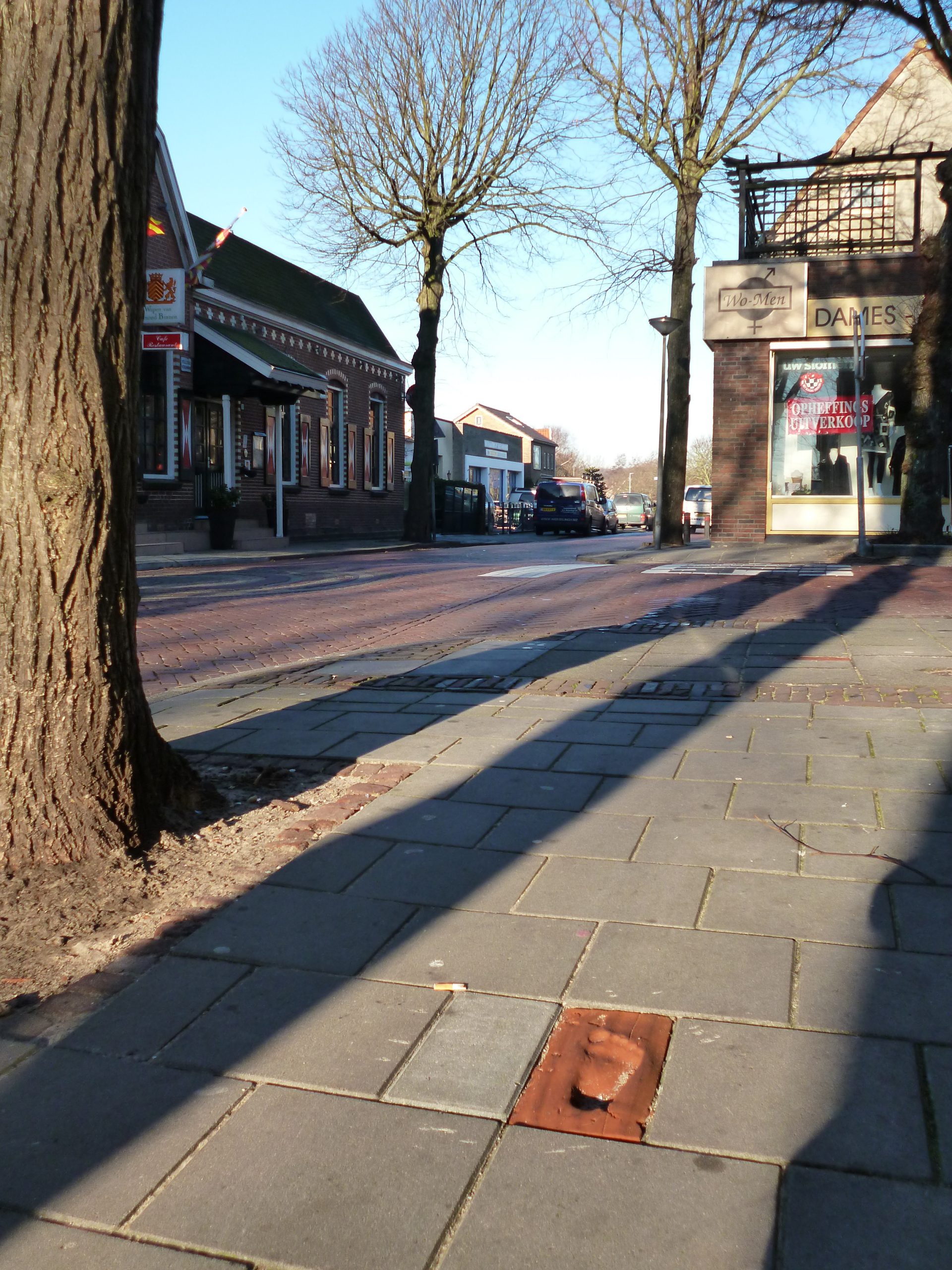 Kloostermoppen ter plaatse van de Sint Adelbertusweg te Egmond-Binnen